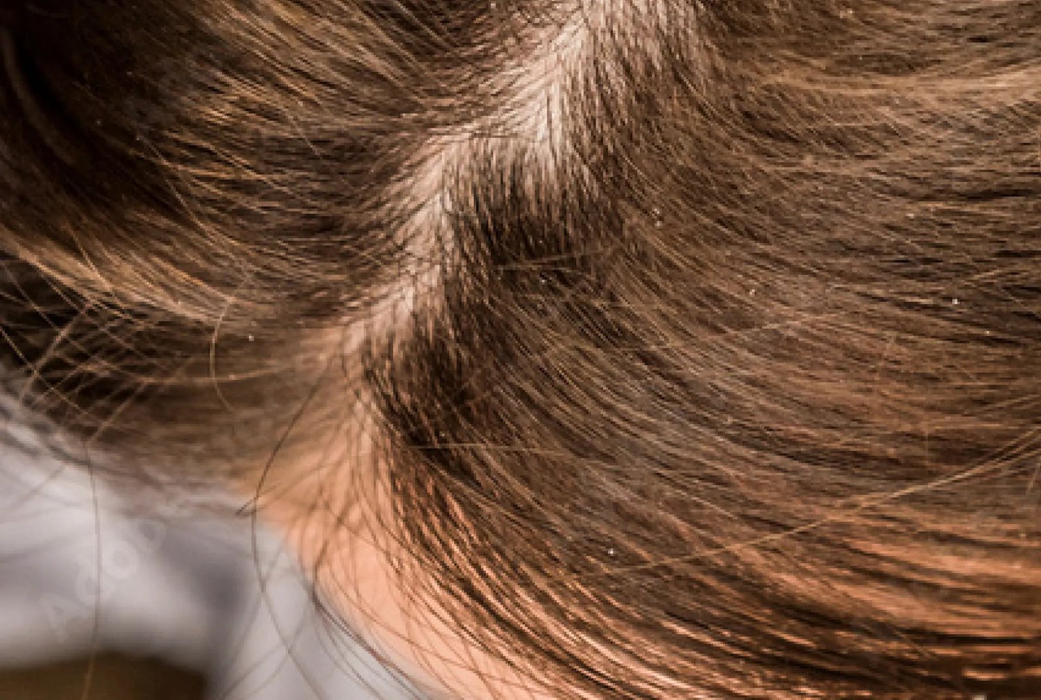 what is heat damaged hair