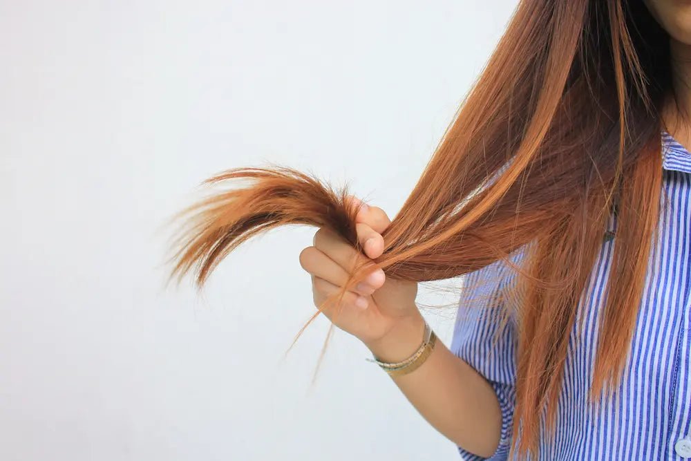 moderate heat damaged hair