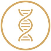 genetics